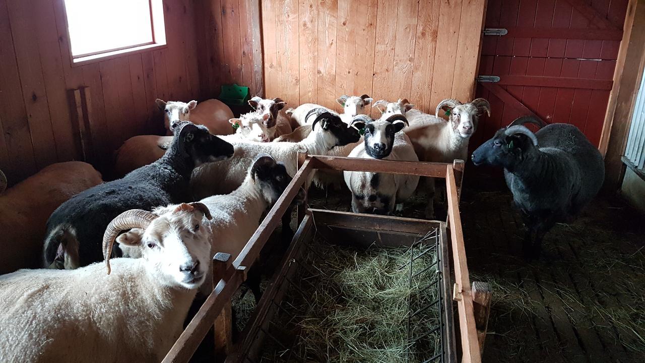 Klara'S Farm Holidays Hella Bagian luar foto