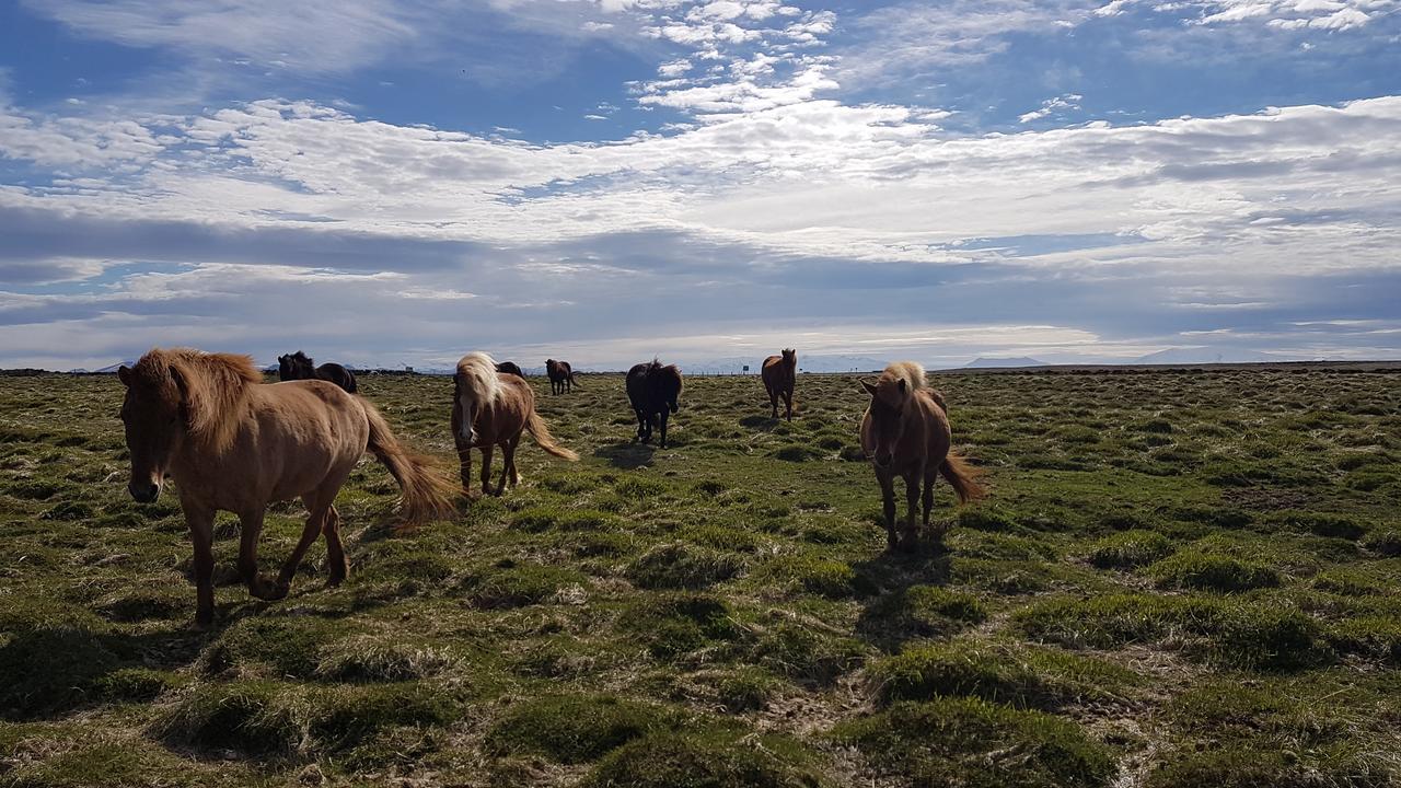 Klara'S Farm Holidays Hella Bagian luar foto