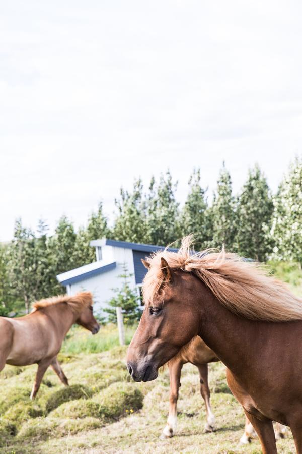 Klara'S Farm Holidays Hella Bagian luar foto