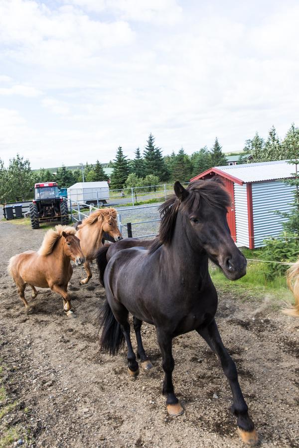 Klara'S Farm Holidays Hella Bagian luar foto